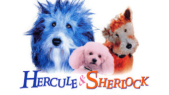 Hercule & Sherlock (1996)