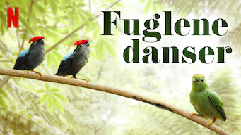 Fuglene danser (2019)